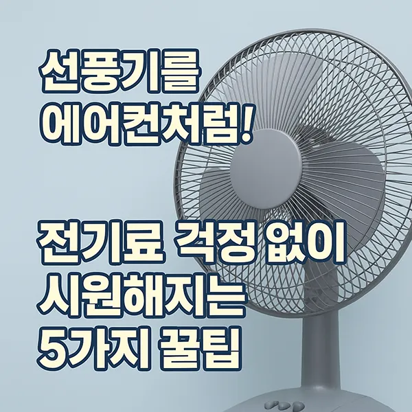 선풍기로 여름나는 법