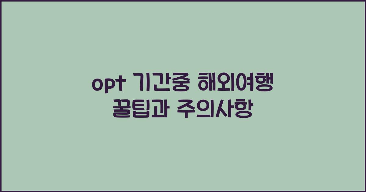 opt 기간중 해외여행