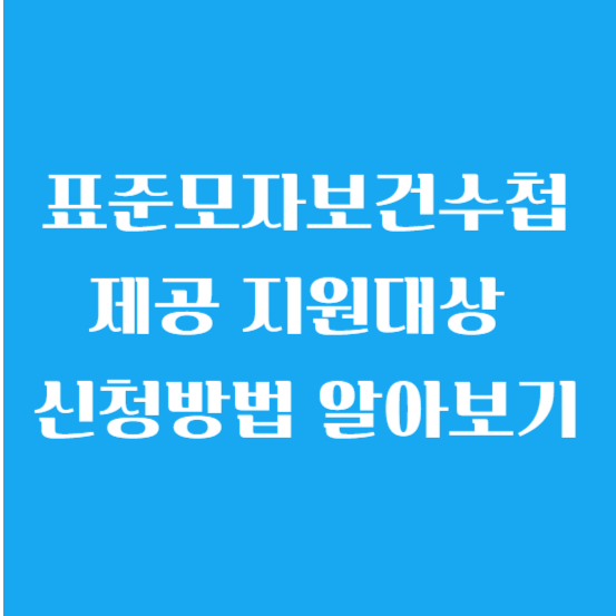 표준모자보건수첩 제공 지원대상 신청방법 알아보기