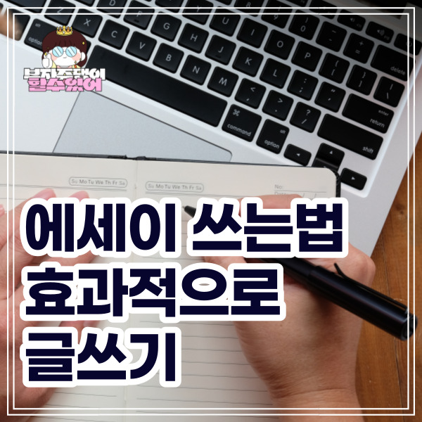 에세이쓰는법 : 당신의 생각을 효과적으로 전달하는 방법