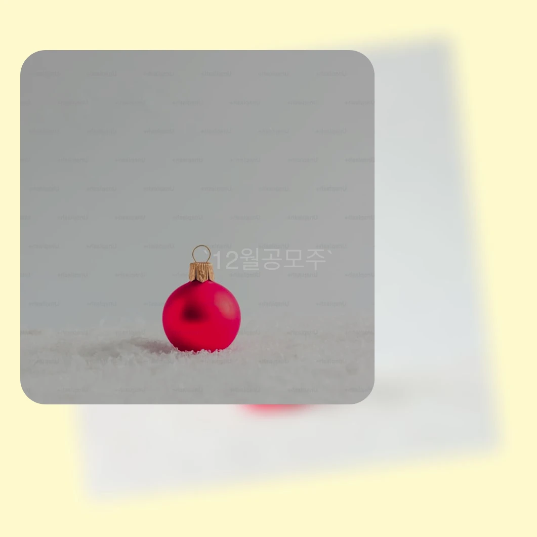 12월공모주_2