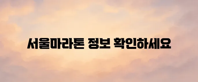 서울마라톤 홈페이지 바로가기│2025 대회 일정·참가 신청 안내