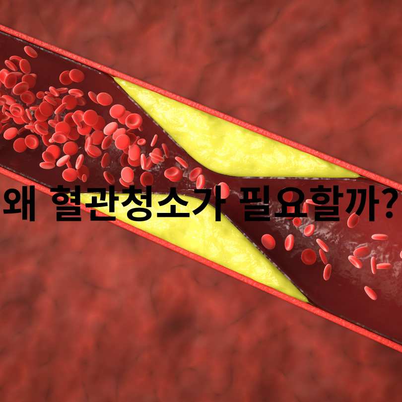 혈관청소에 좋은 음식 BEST 10