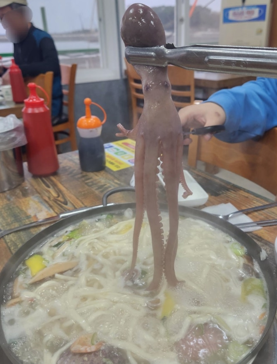 한국인의밥상-낙지칼국수-