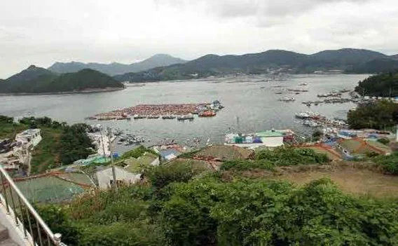 곤리도