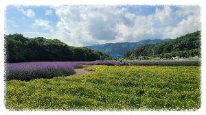 상림공원