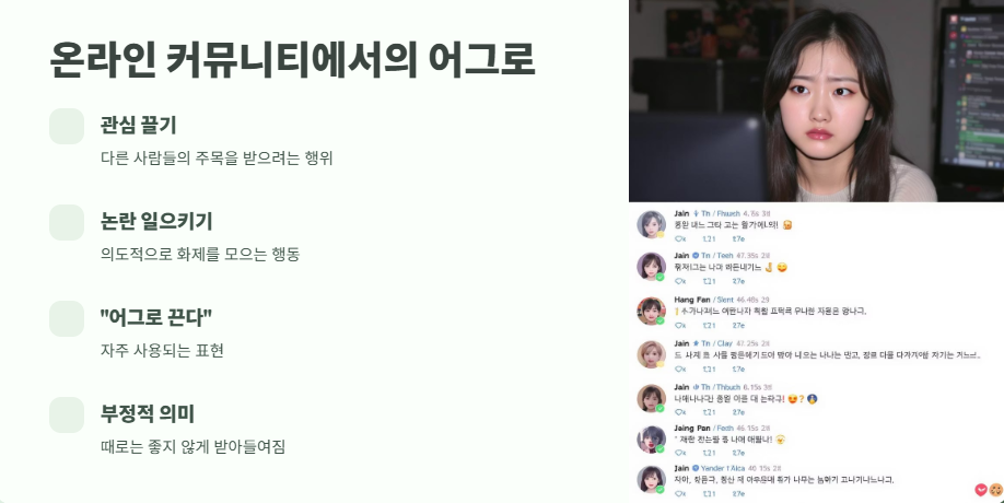 어그로 뜻 간단 요약 4