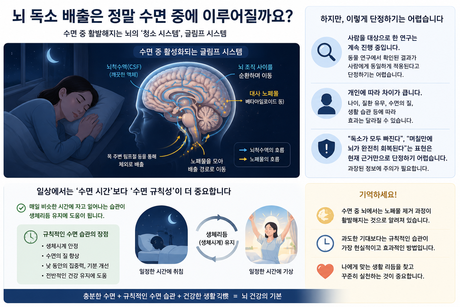 뇌 독소 배출은 정말 수면 중에 이루어질까요?