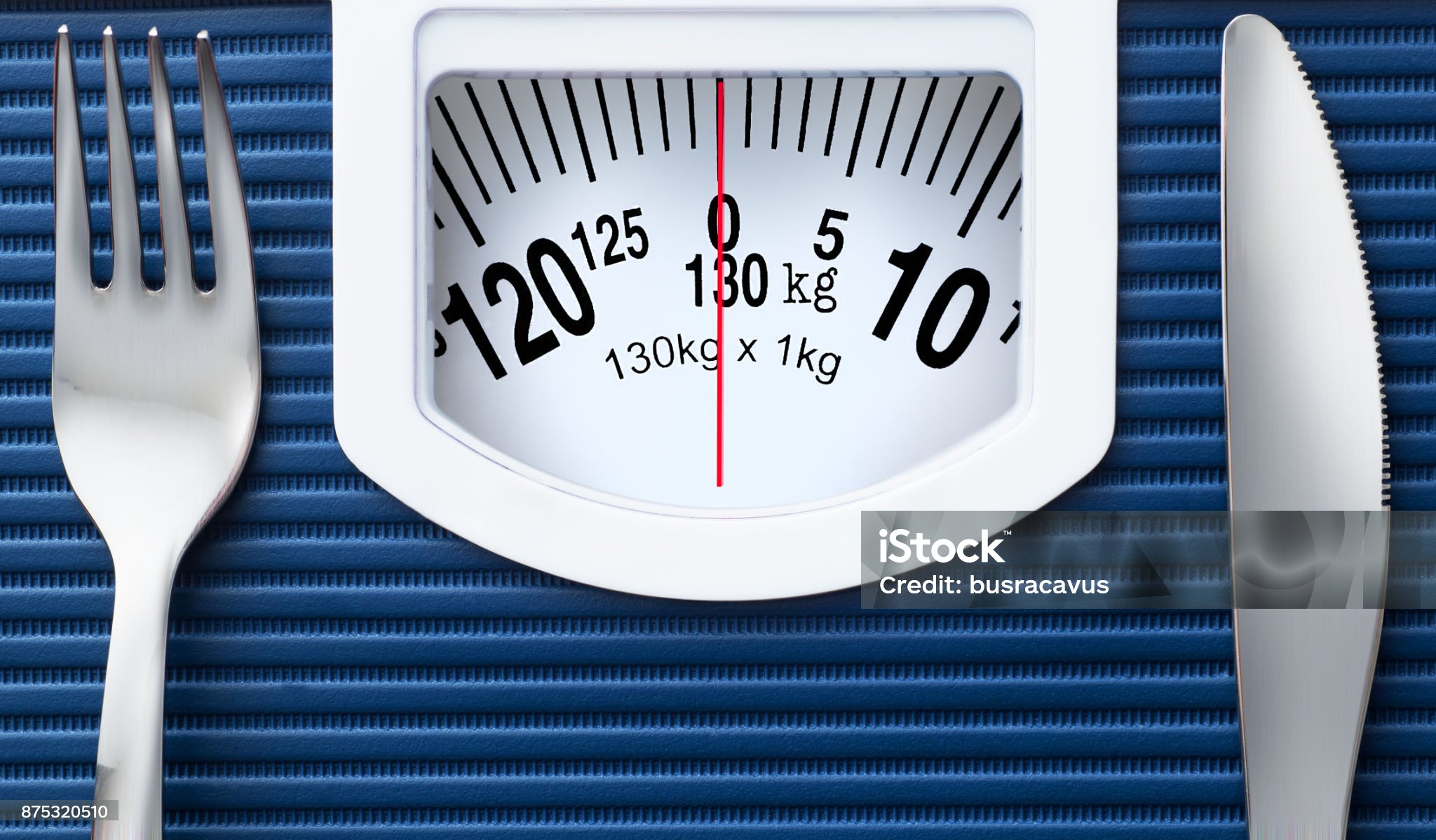 연령대별 장기와 단기 다이어트 성공률 비교