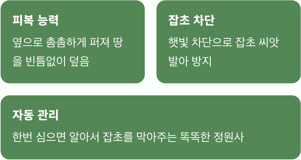 잡초와의 전쟁, 이제 그만!