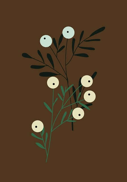 현역가왕2 탈락자 4명 투표하기