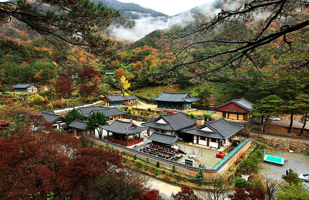 동해 가볼만한곳 베스트10 삼화사