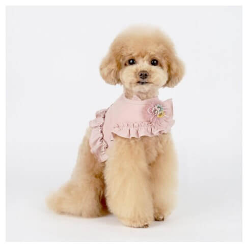 2024 크리스마스 서울 펫쇼 사전등록 입장료 주차 안내