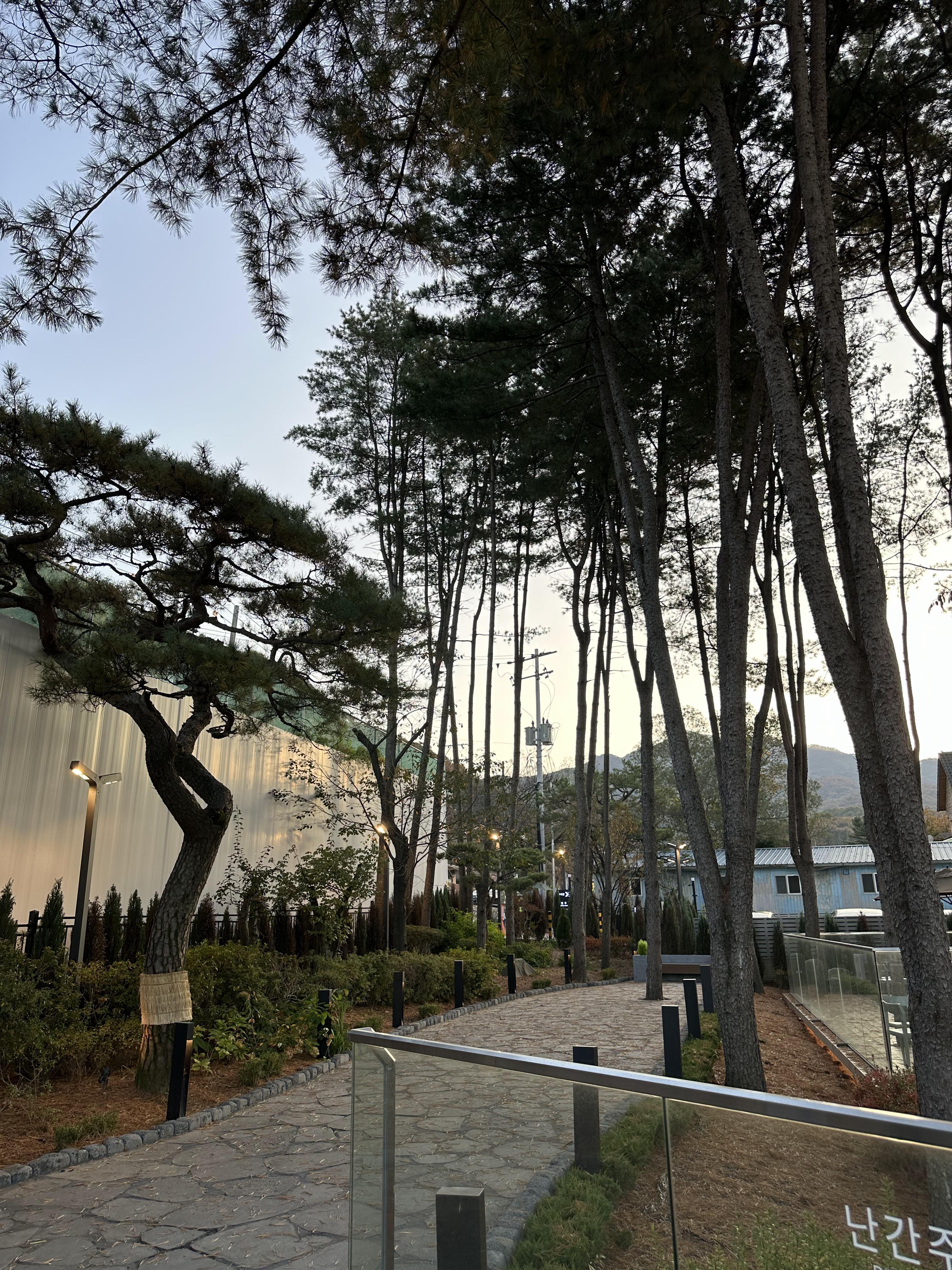 고기리 스타벅스 산책로1