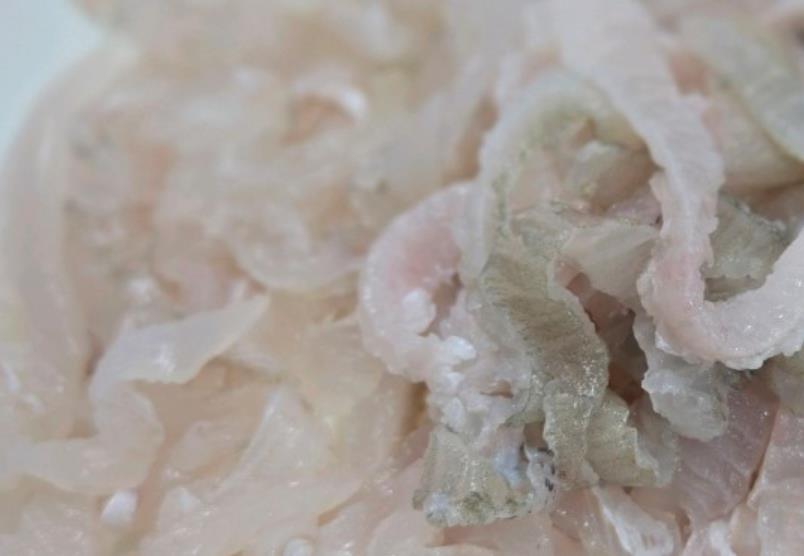 울산중앙전통시장 가자미뼈째회 6시내고향 한 접시