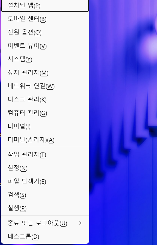 <img src="screenshot.jpg" alt="윈도우 11 설치 과정 스크린샷" />