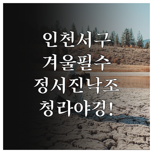 인천 서구 겨울 여행 코스 정서진 낙..