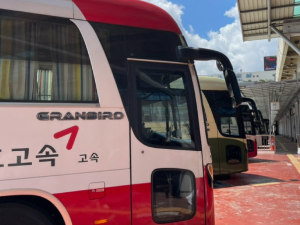 티머니 GO 마일리지혜택 신청방법