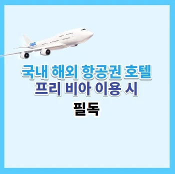 프리 비아 항공