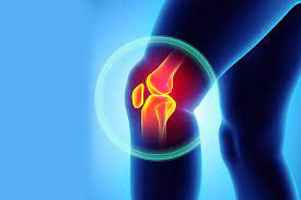 관절에 좋은 운동 (2주 해보고 효과 본 후기)