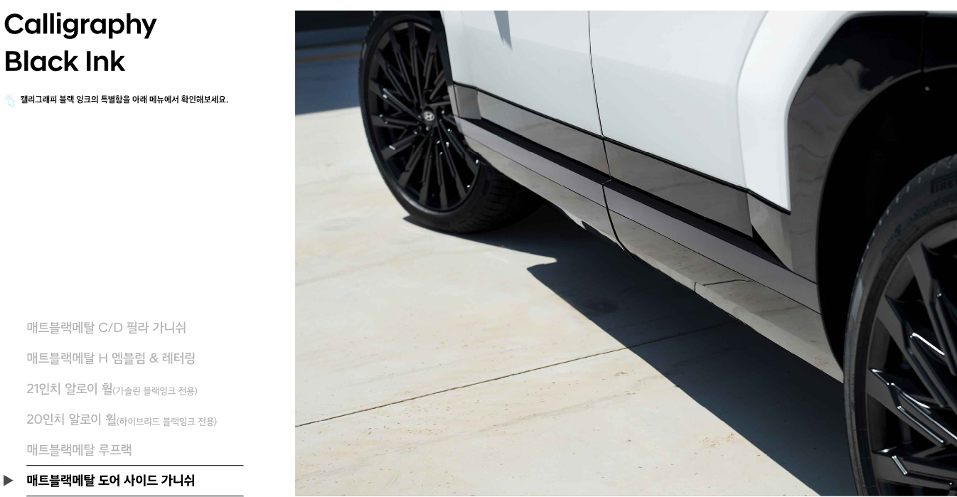 신형 싼타페 익스테리어 블랙 사이드가니쉬