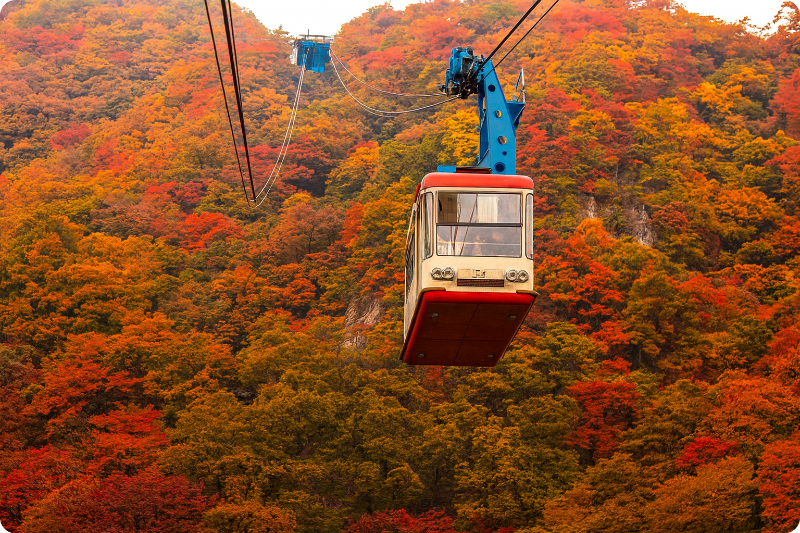 내장산국립공원(케이블카) 이미지/출처: 정읍시 문화관광