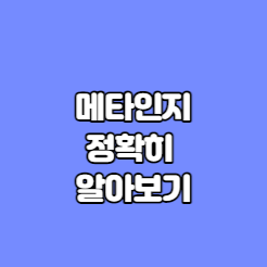 메타인지