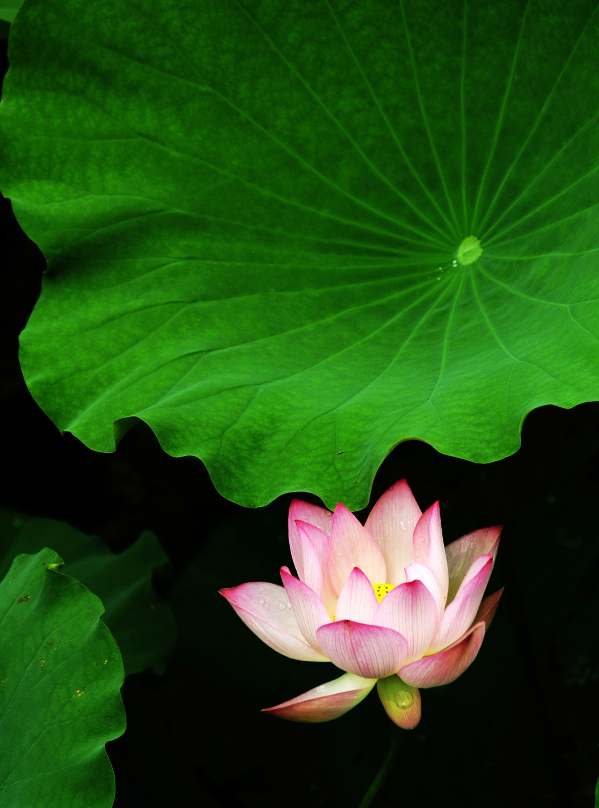 대표적인 사례로는 태양광 패널 설치, 녹색 지붕 시공, 에너지 효율 높은 창호 교체 등이 있습니다.