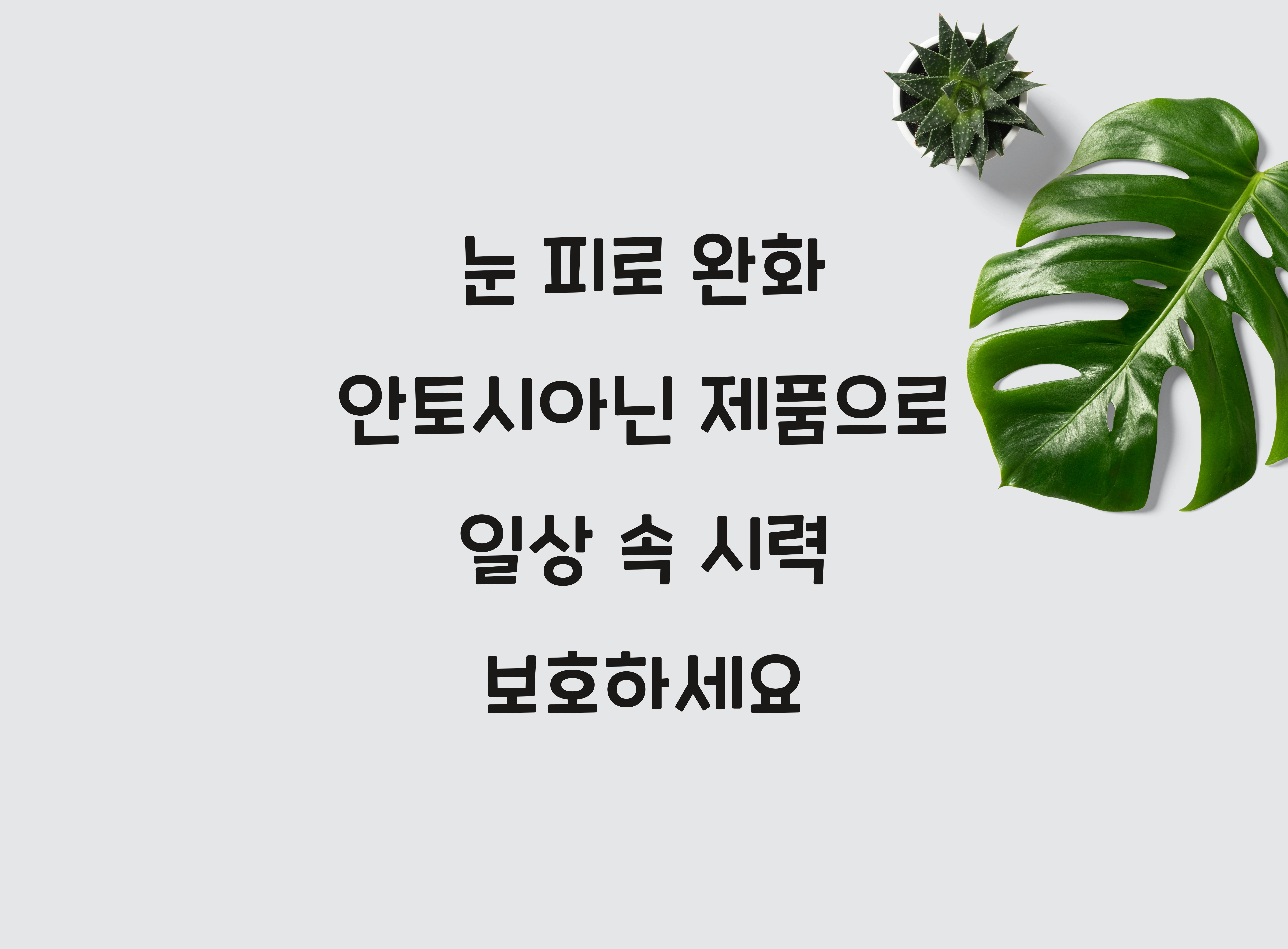 눈 피로 완화 안토시아닌 제품