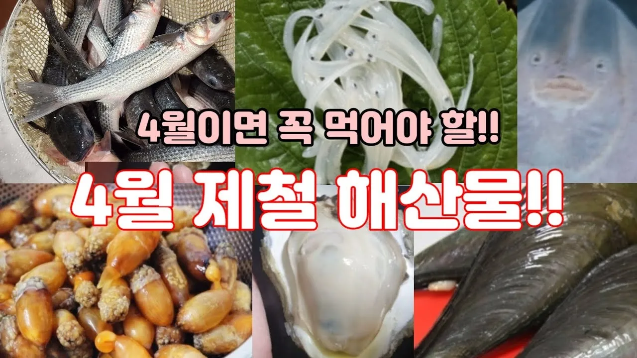 4월 제철음식 제철 생선 과일 채소 모음_9