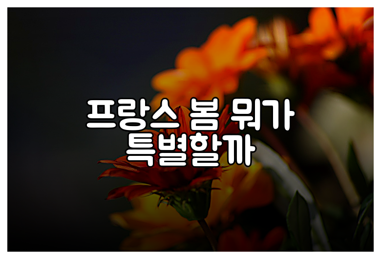 프랑스 봄 뭐가 특별할까
