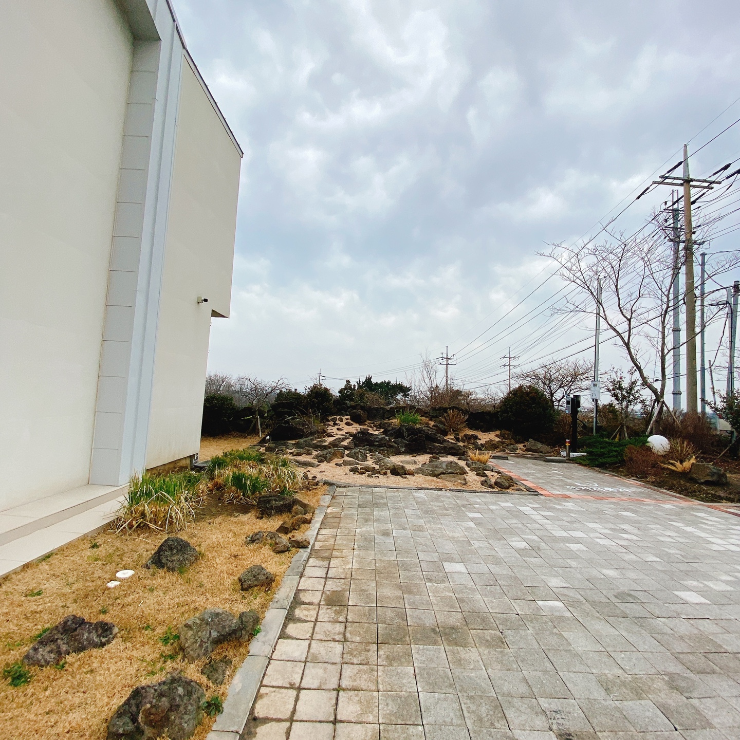 제주 한림공원 명월 디저트맛집 뵤뵤카페