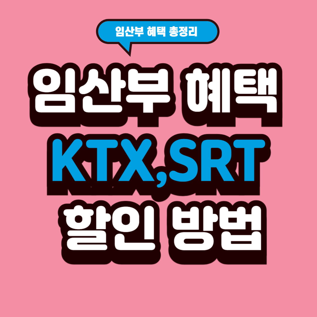 임산부 필독! KTX 할인, 철분제, 진료비 지원