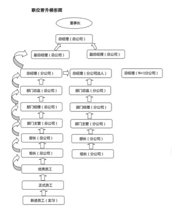 회사 직급체계 순서별 직책 직위 조직 구조 정리_5
