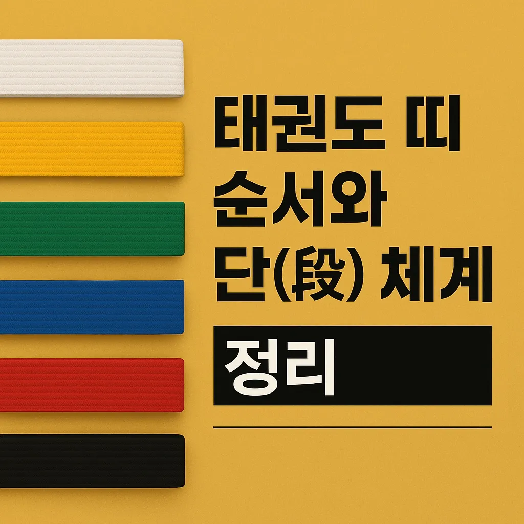 태권도 띠 순서와 단(段) 체계 완벽 정리