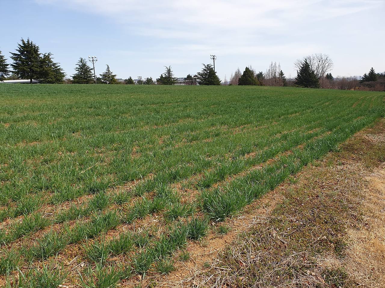 경산 가볼만한곳 베스트10