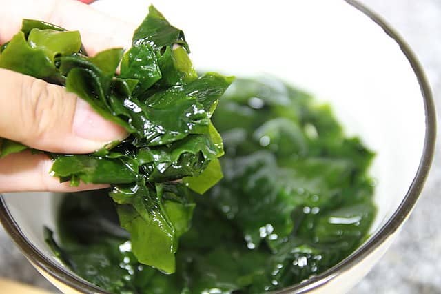 건조 해조류 vs 생 해조류 (영양 차이, 활용법, 조리법 비교)