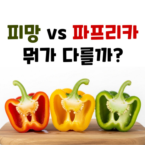 피망 파프리카 비교 차이