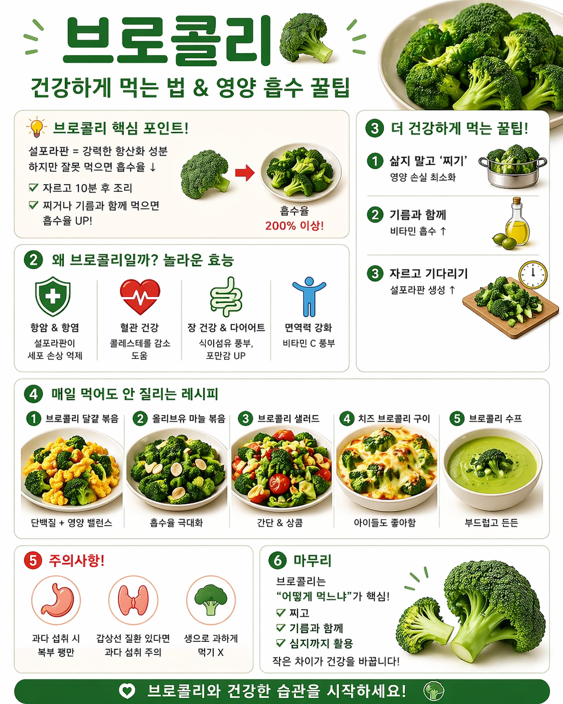 브로콜리 건강하게 먹는법, 영양 흡수 꿀팁