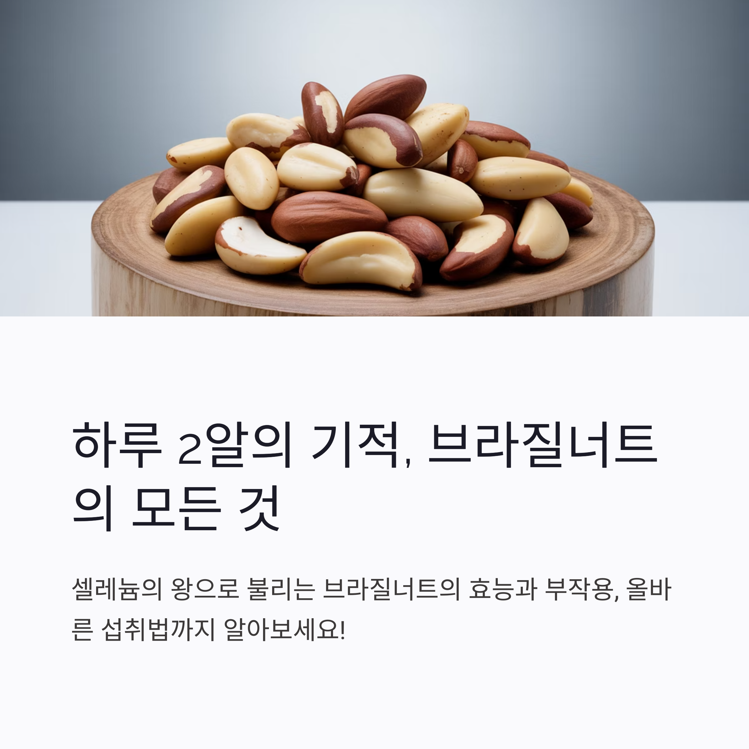 브라질너트-모든것