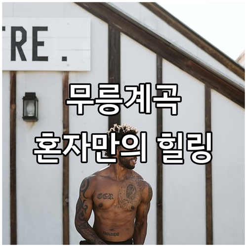 무릉계곡 인근 혼자 묵기 좋은 숙소 ..