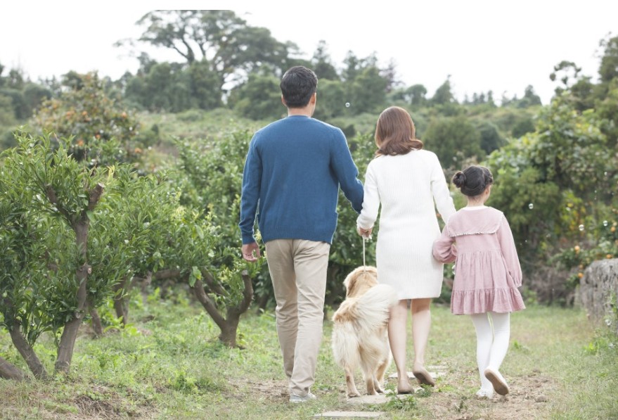 아이와 반려견 동반여행