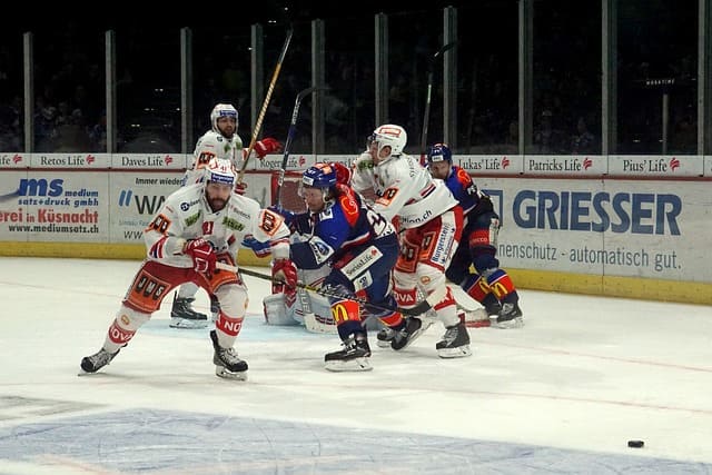 2024 파리 올림픽 선수 명단