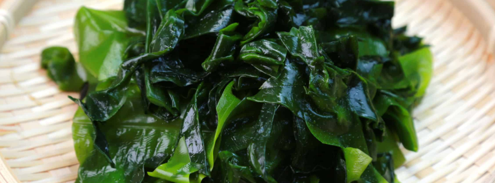 미역은 중금속의 배출 역할을 한다.