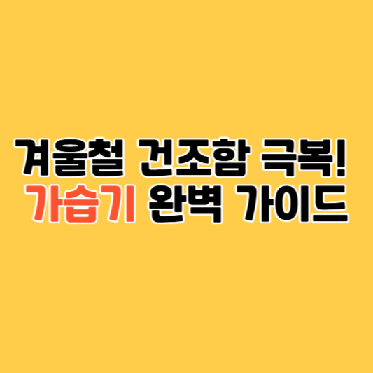 겨울철 건조함 극복! 가습기 완벽 가이드