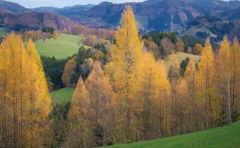 보건증 검사항목 쉽게 정리 2