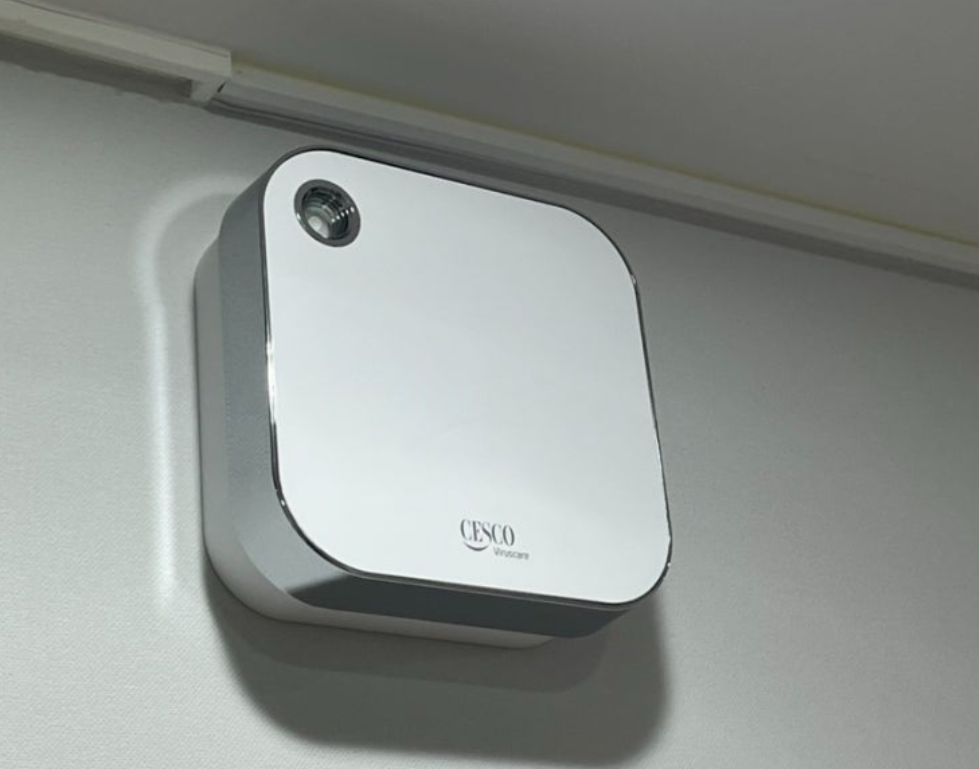 세스코 내돈내산 후기