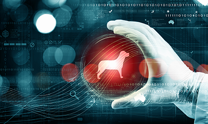 동물자원학과 관련 이미지