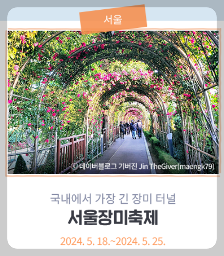 서울장미축제