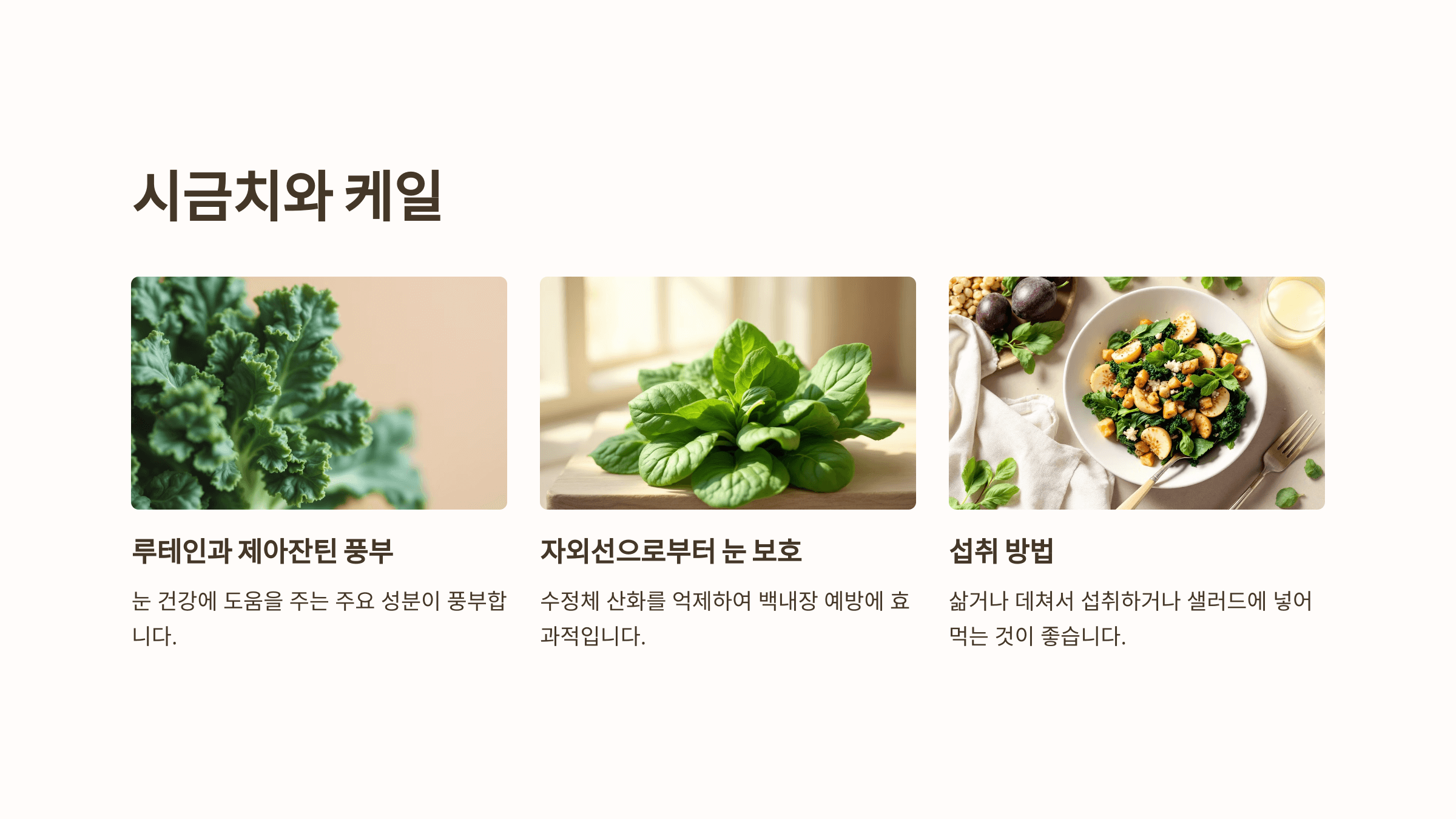 백내장과 관련된 사진입니다.